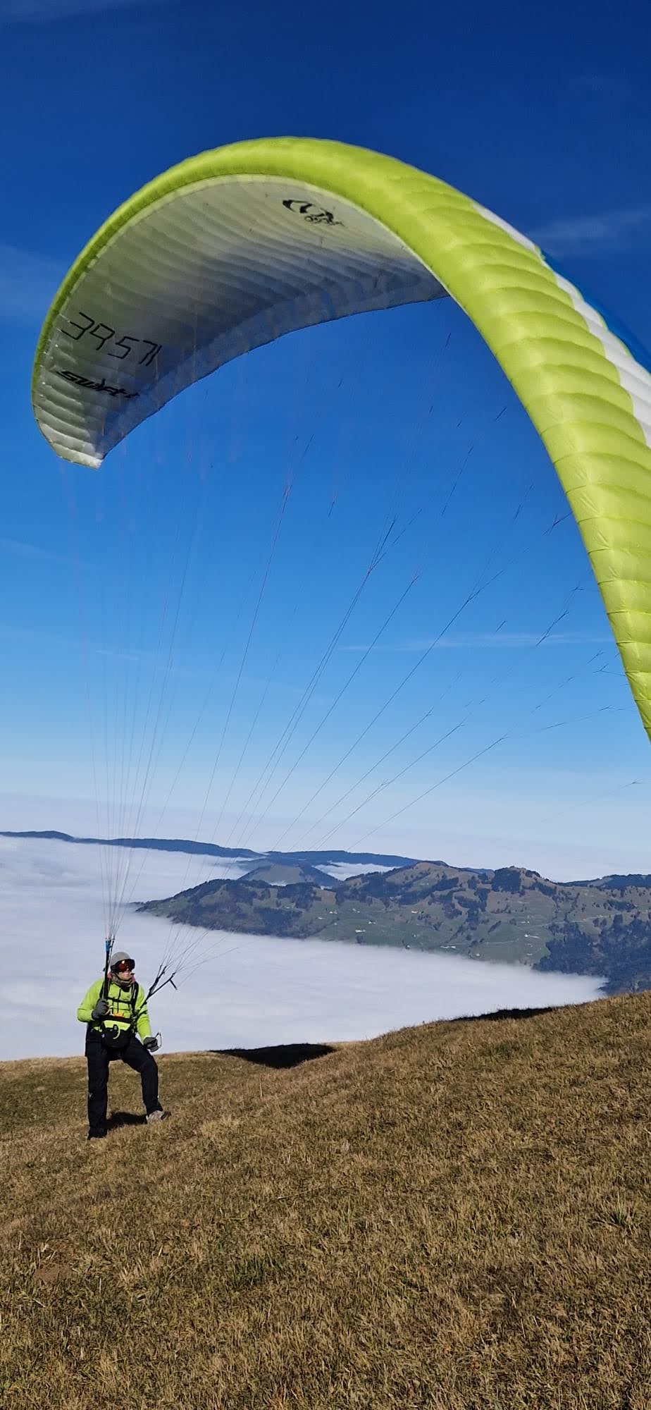 Immagine WhatsApp 2024 11 03 ore 12.32.23 0d52e