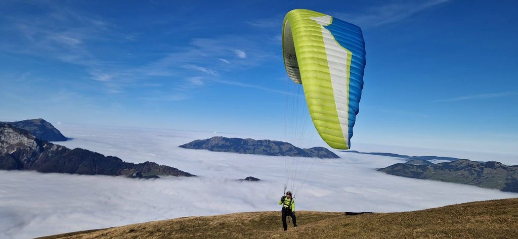 Immagine WhatsApp 2024 11 03 ore 12.32.56 a0f68