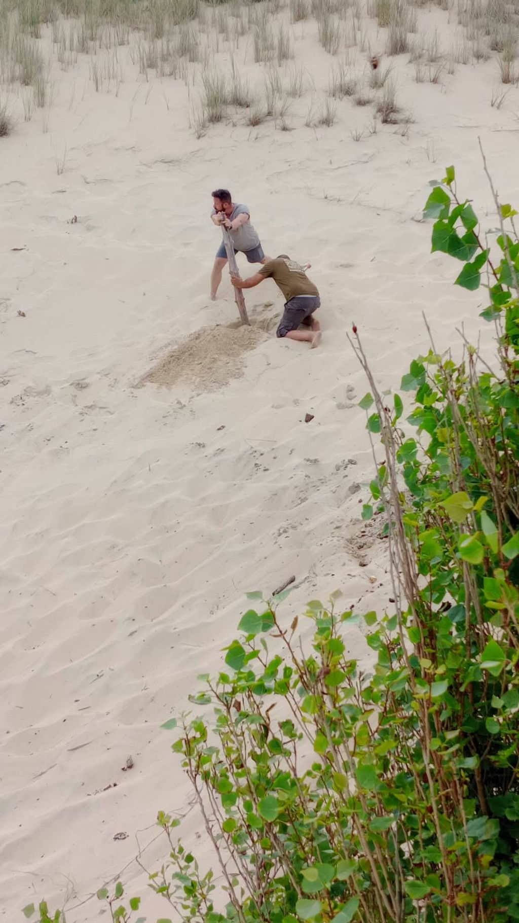 Immagine WhatsApp 2025 06 11 ore 11.04.59 2b850