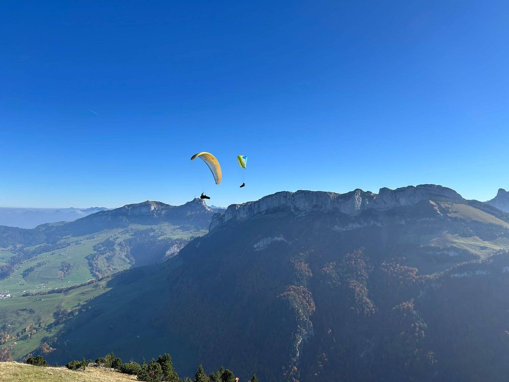 Immagine WhatsApp 2025 10 18 ore 15.50.18 111ae