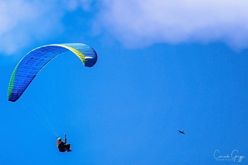 coop 12 44587437895 o