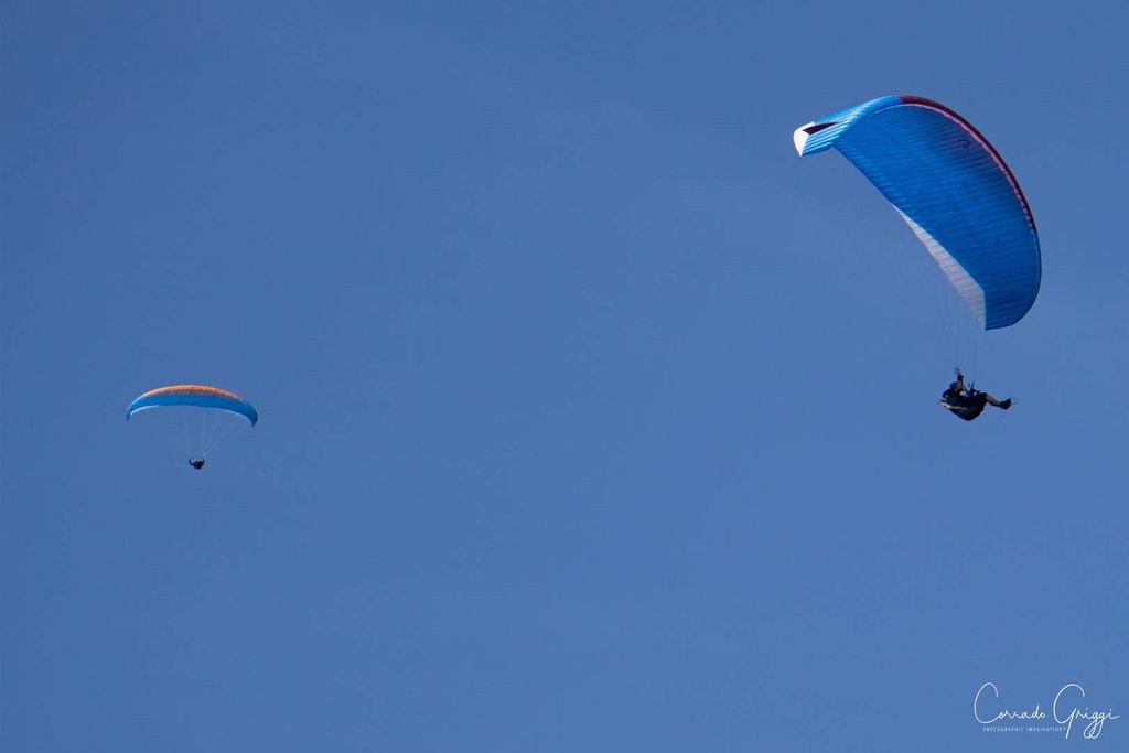 coop 13 31628458918 o