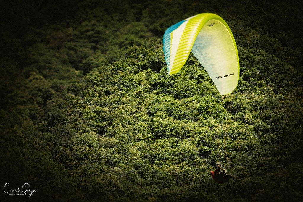 coop 15 31628458488 o