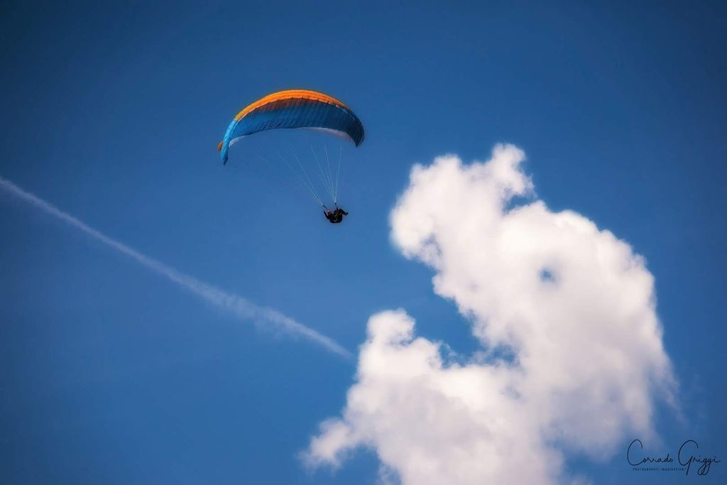 coop 21 44587436365 o