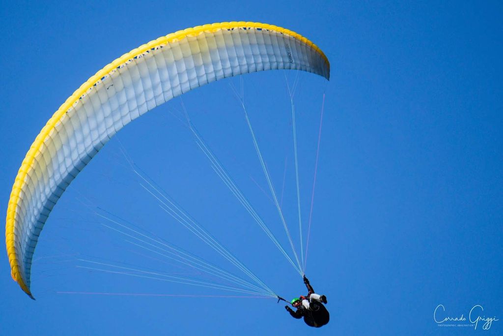 coop 8 31628460348 o