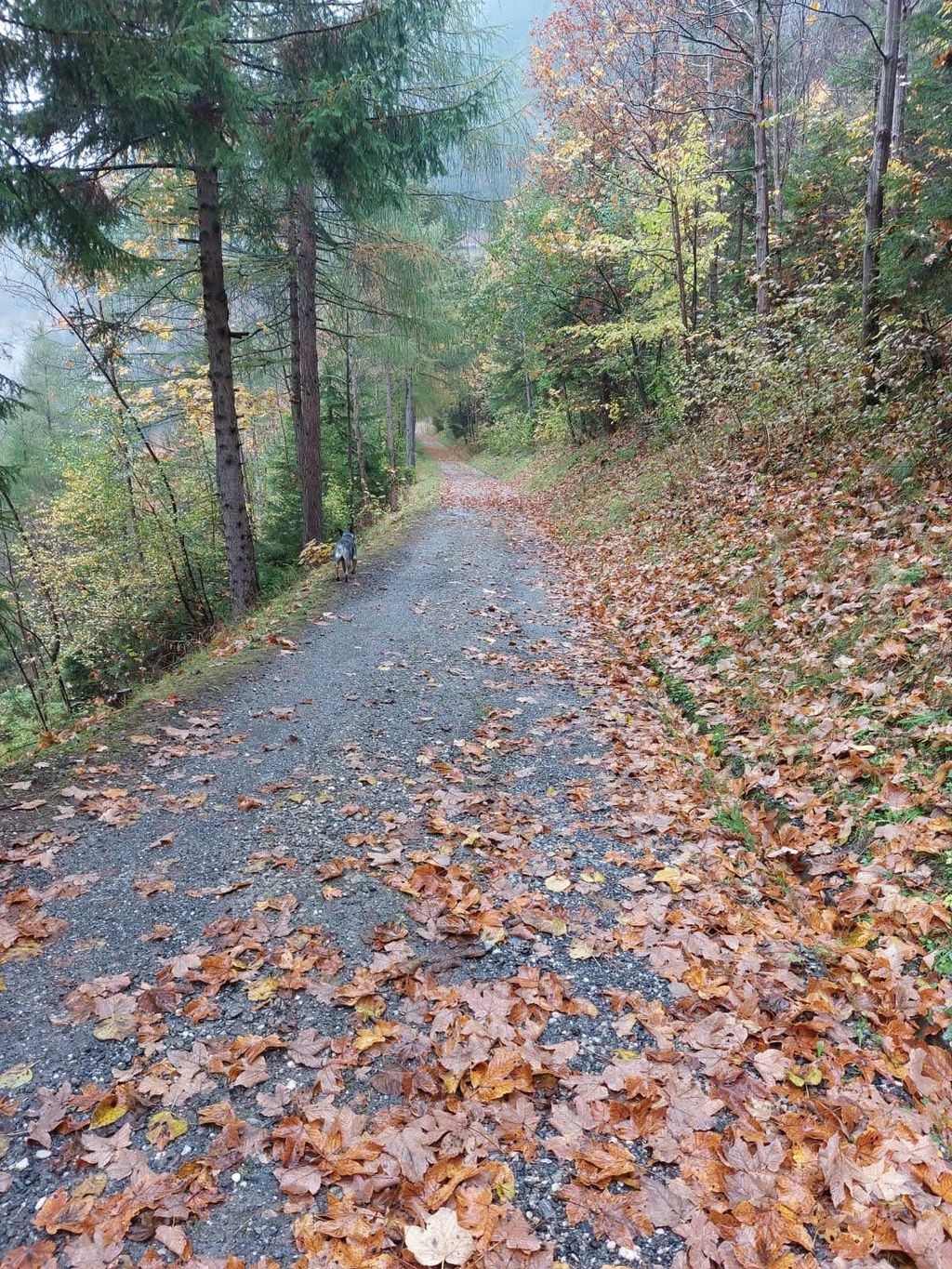 cvlt heidiland 2022 (17)