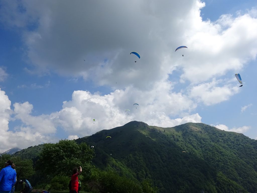 dsc00043 large 41046087220 o