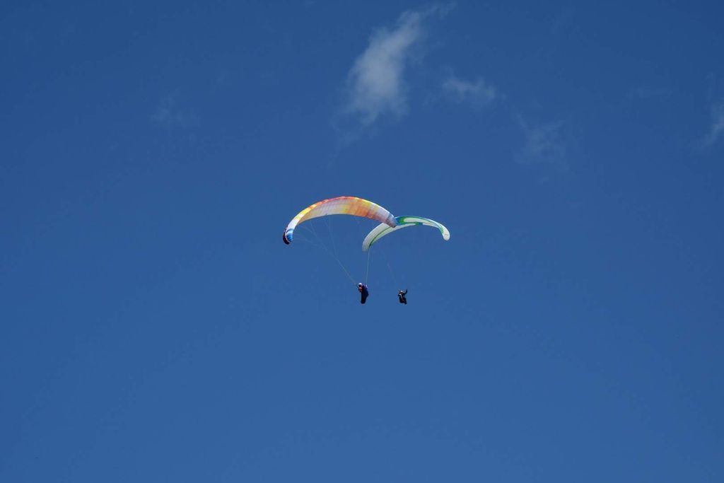 dsc 0733 37820103462 o