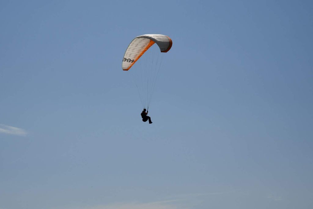 dsc 0822 37820090722 o