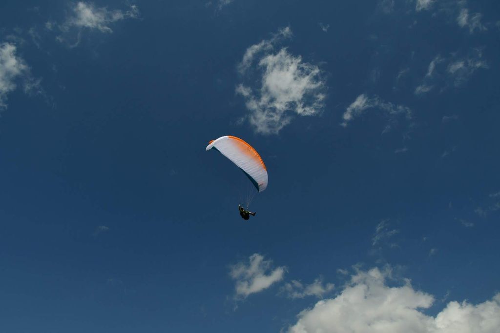 dsc 0834 37820087372 o