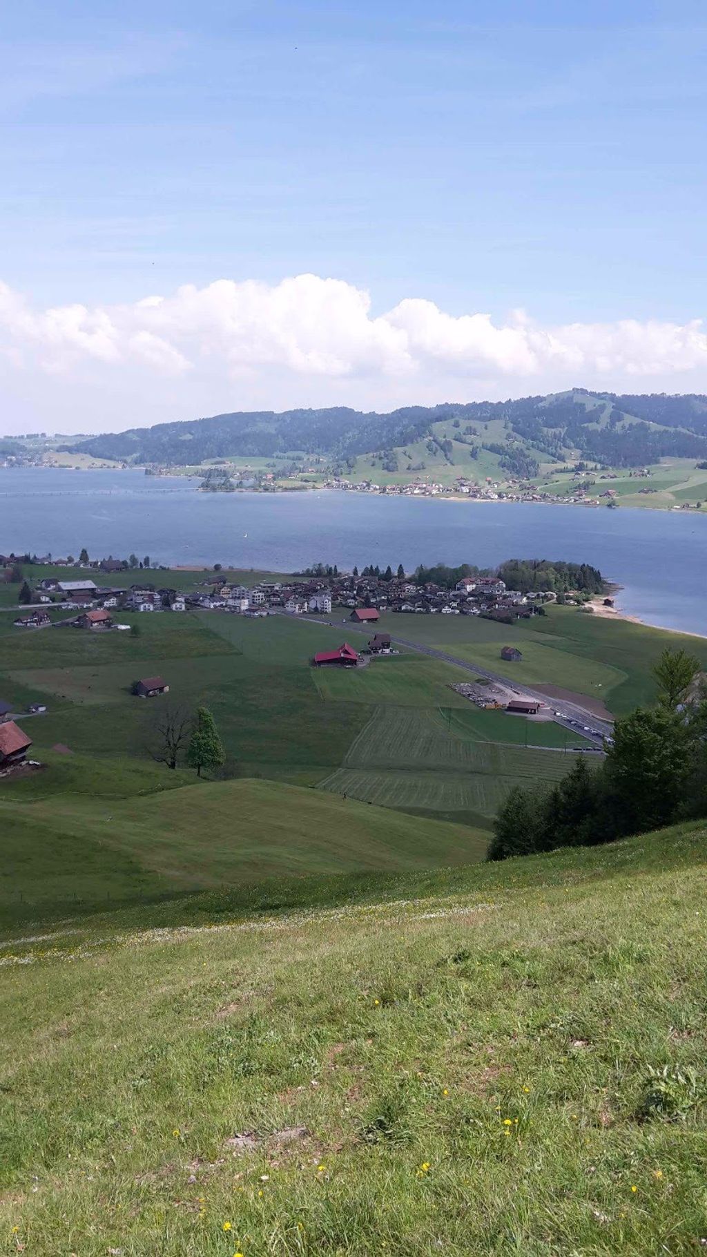 img 20170525 wa0012 7734 35770513930 o