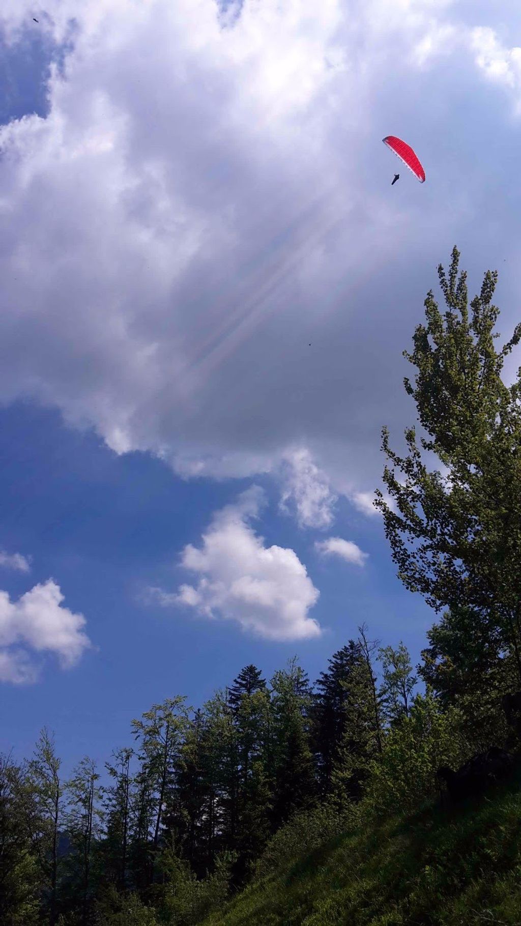 img 20170525 wa0014 7735 35770513800 o