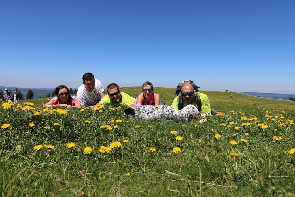 img 20170528 wa0016 7742 36028598021 o