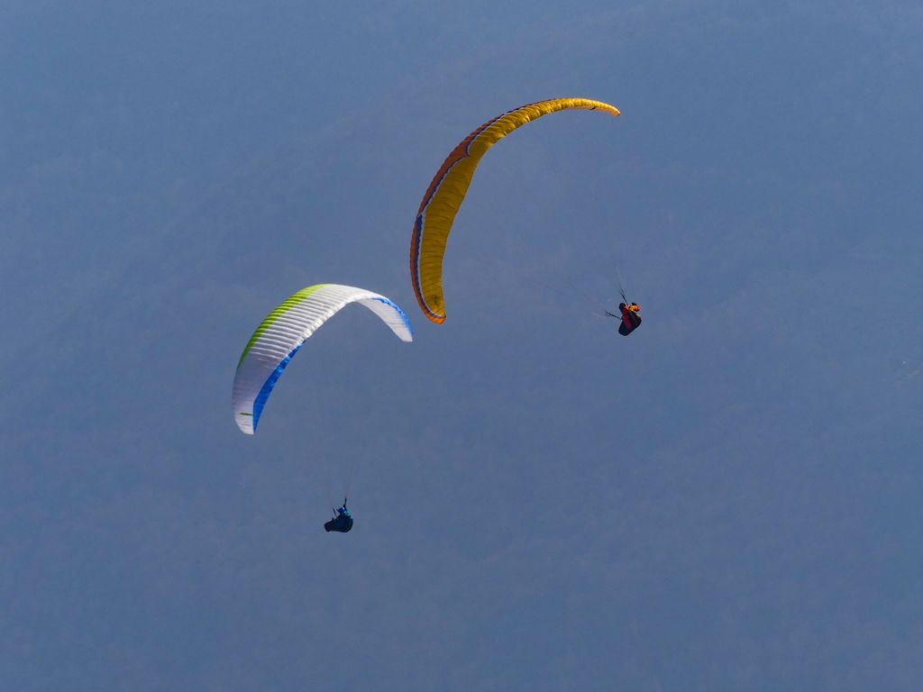 p1070707 1 55136016061 o