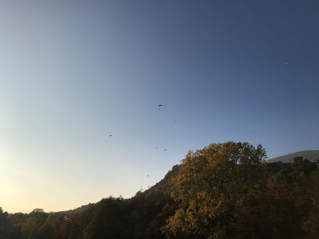 valtellina 0 4 31628116068 o