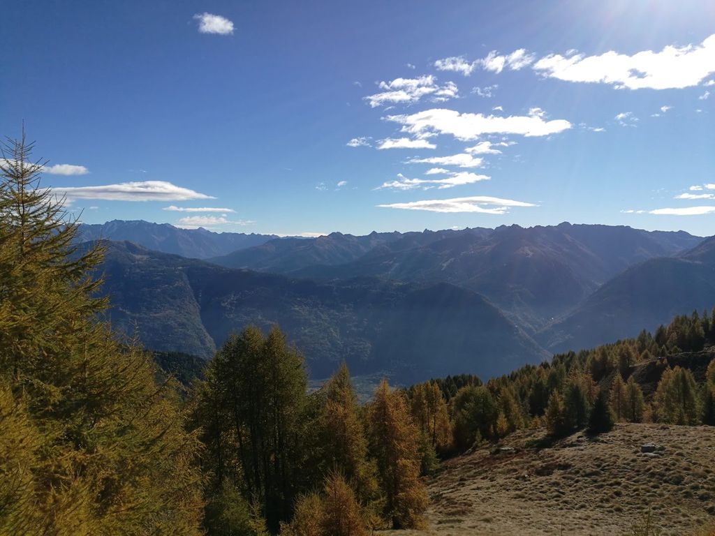 valtellina 0 5 45500690281 o