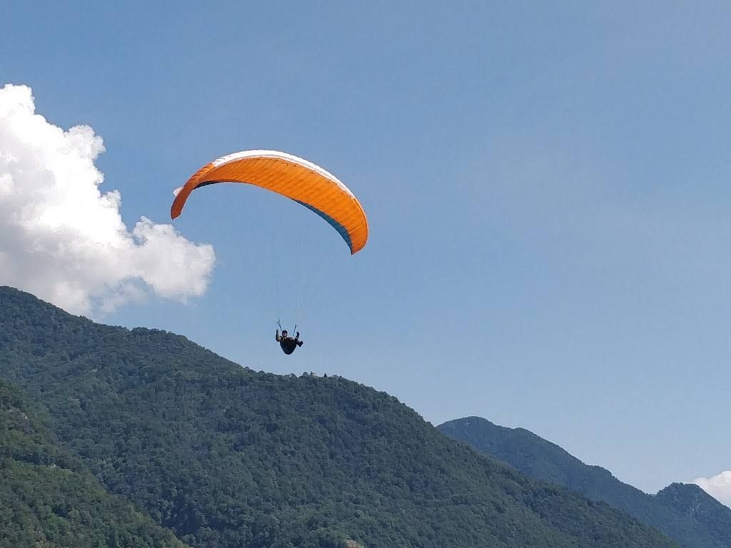 volo centro coop 30 43391590994 o